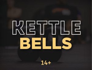 Wellington Titles24